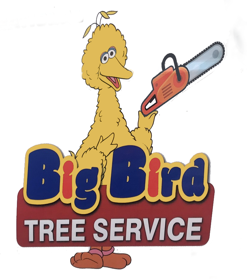 Big Bird Tree Service Big Bird Tree Service
