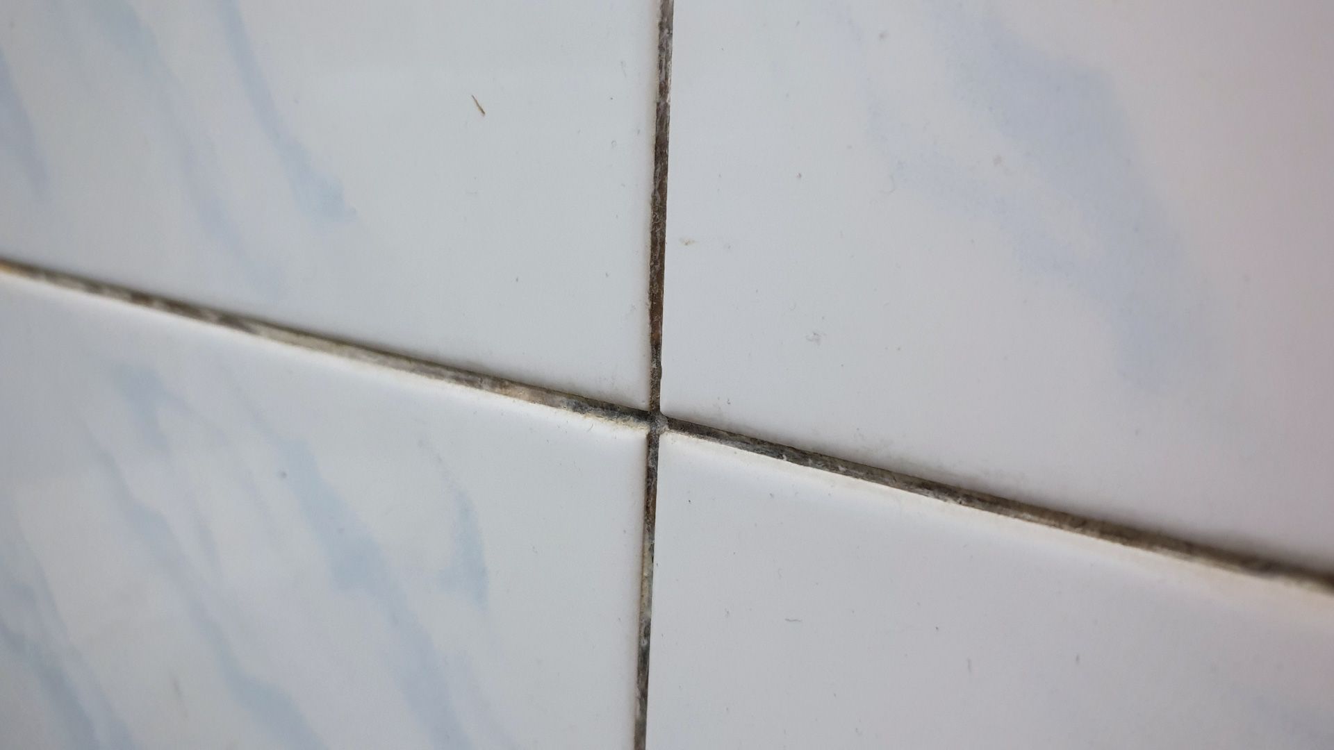 A close up of a tile wall with black mold growing on it.