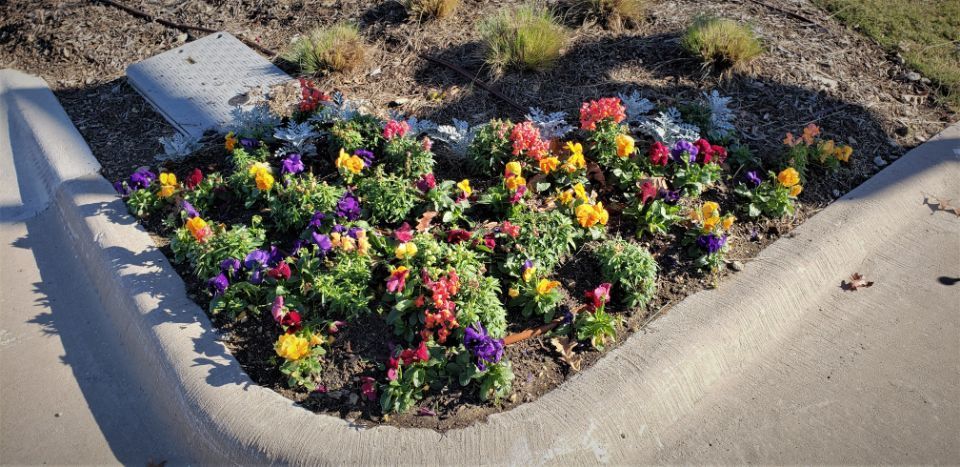 Water Wizards Landscape LLC