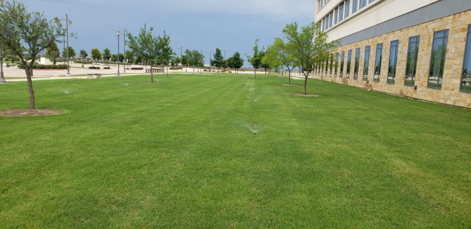 Water Wizards Landscape LLC