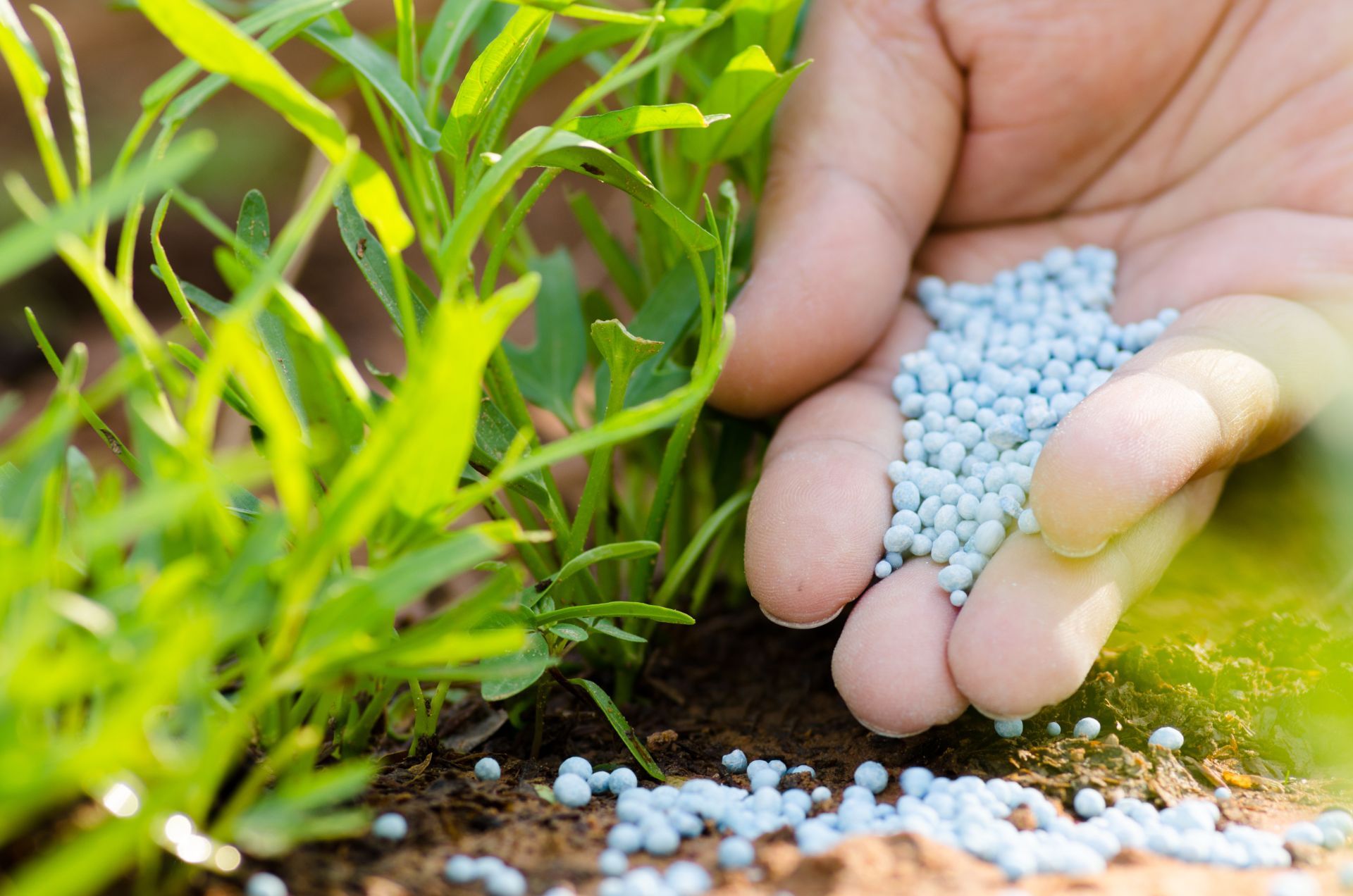 Fertilization & Weed Control