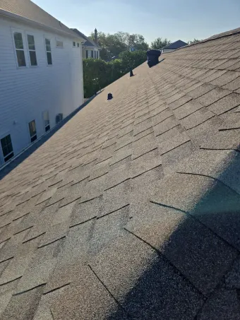 Shingled rooftop beside a white house in bright sunlight, with trees in the background.