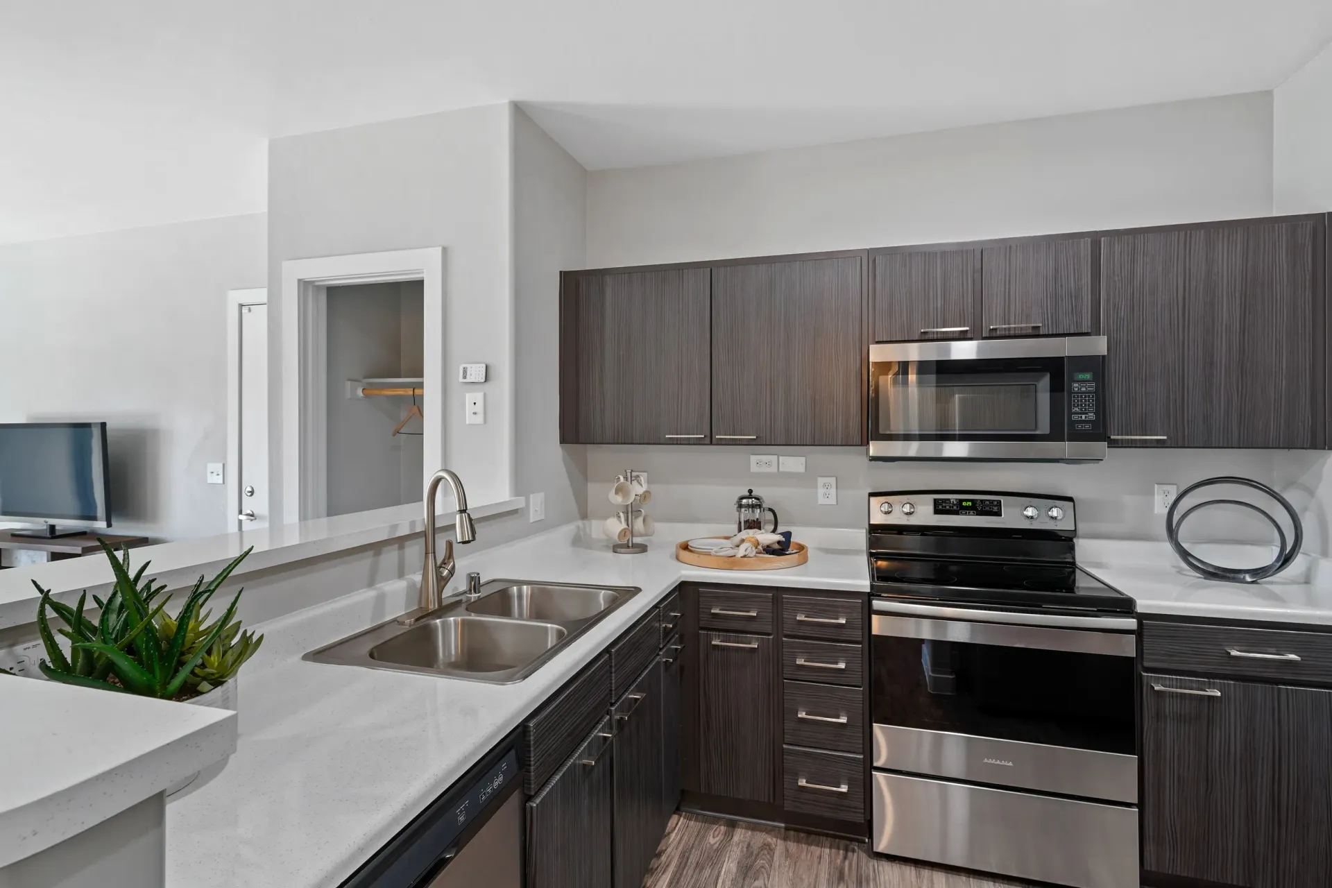 Modern kitchen with stainless steel appliances and dark wood cabinets.