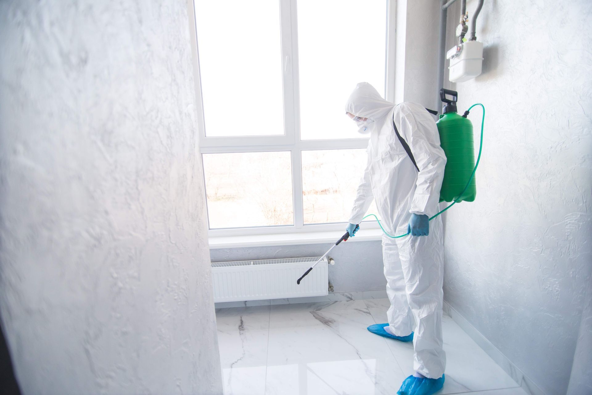 california mold law,california mold law requirements