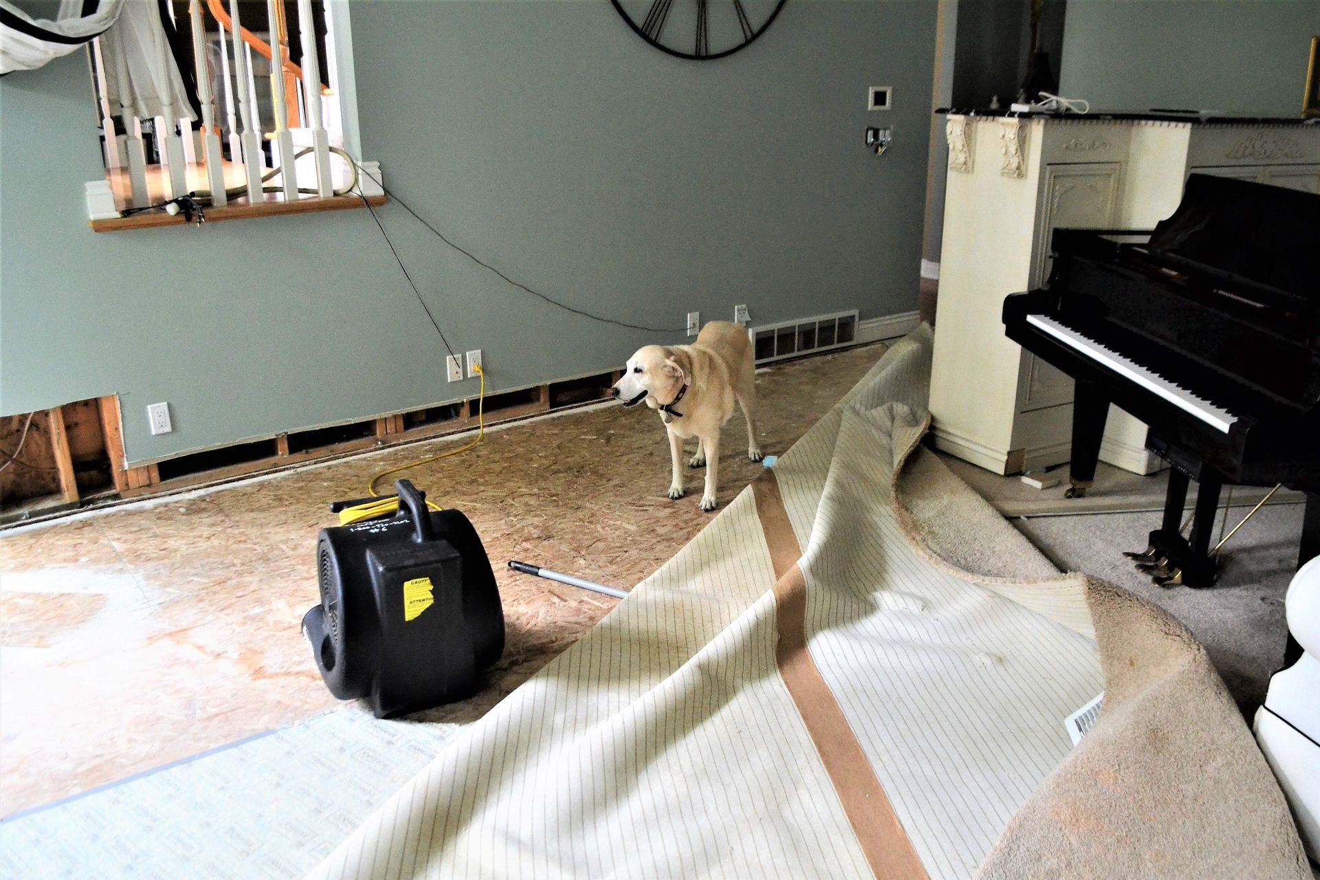 restoration services,water damage repair,water restoration service
