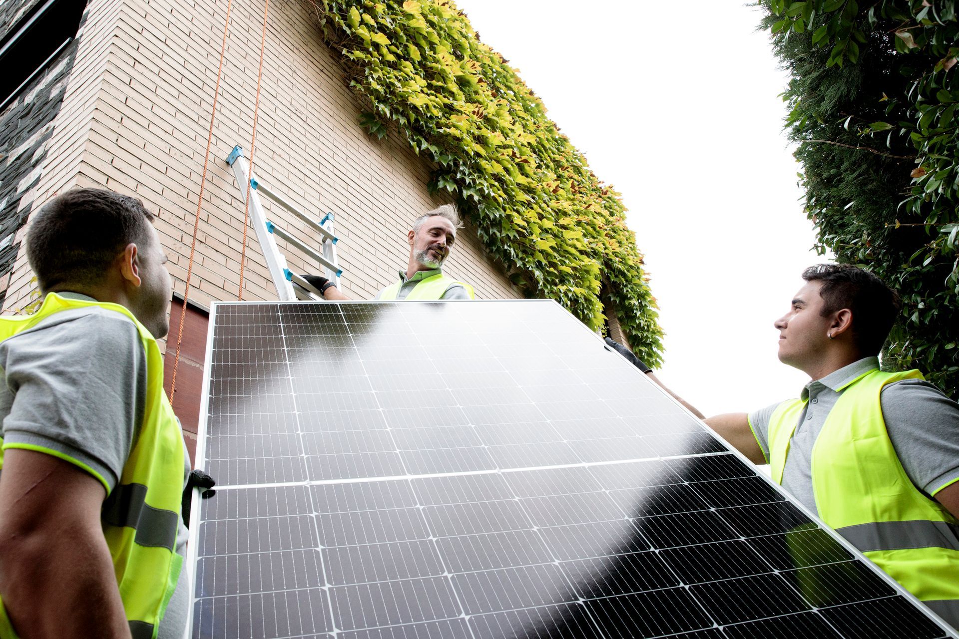 Three workers installing a solar panel on a brick building, wearing yellow vests. Ivy grows on the wall.