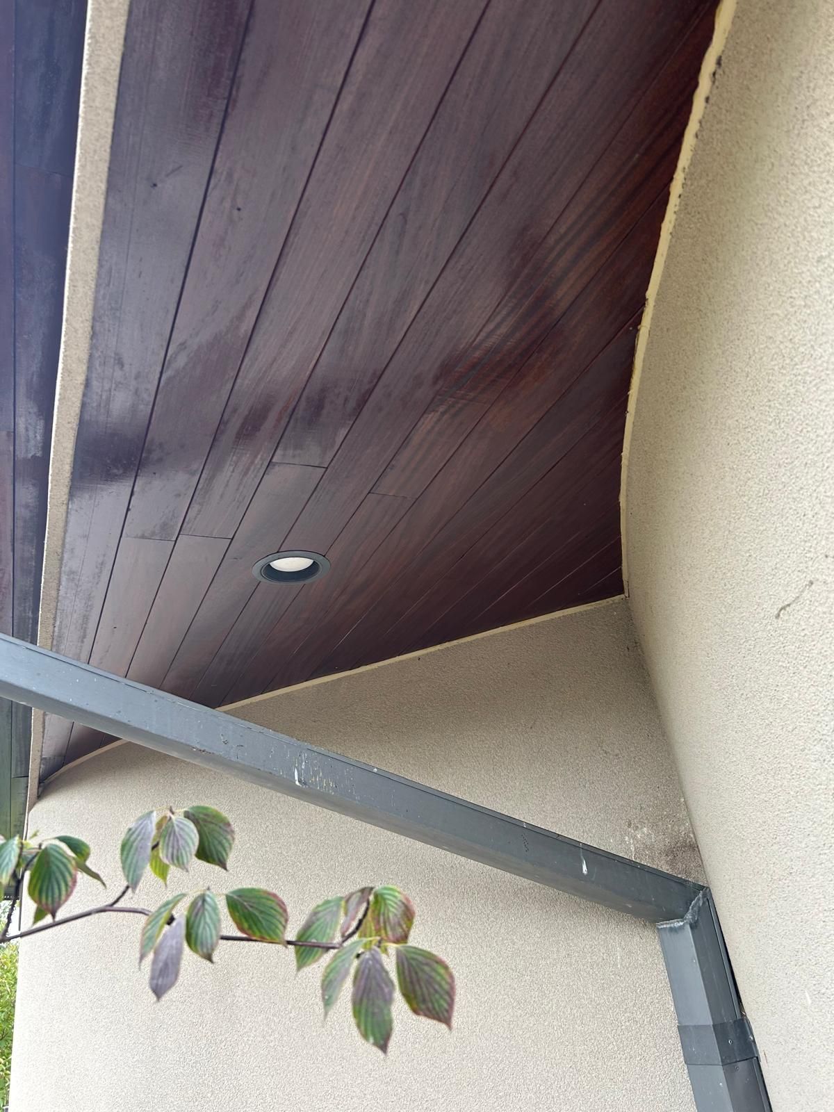 A tree branch is hanging from the side of a building with a wooden ceiling.