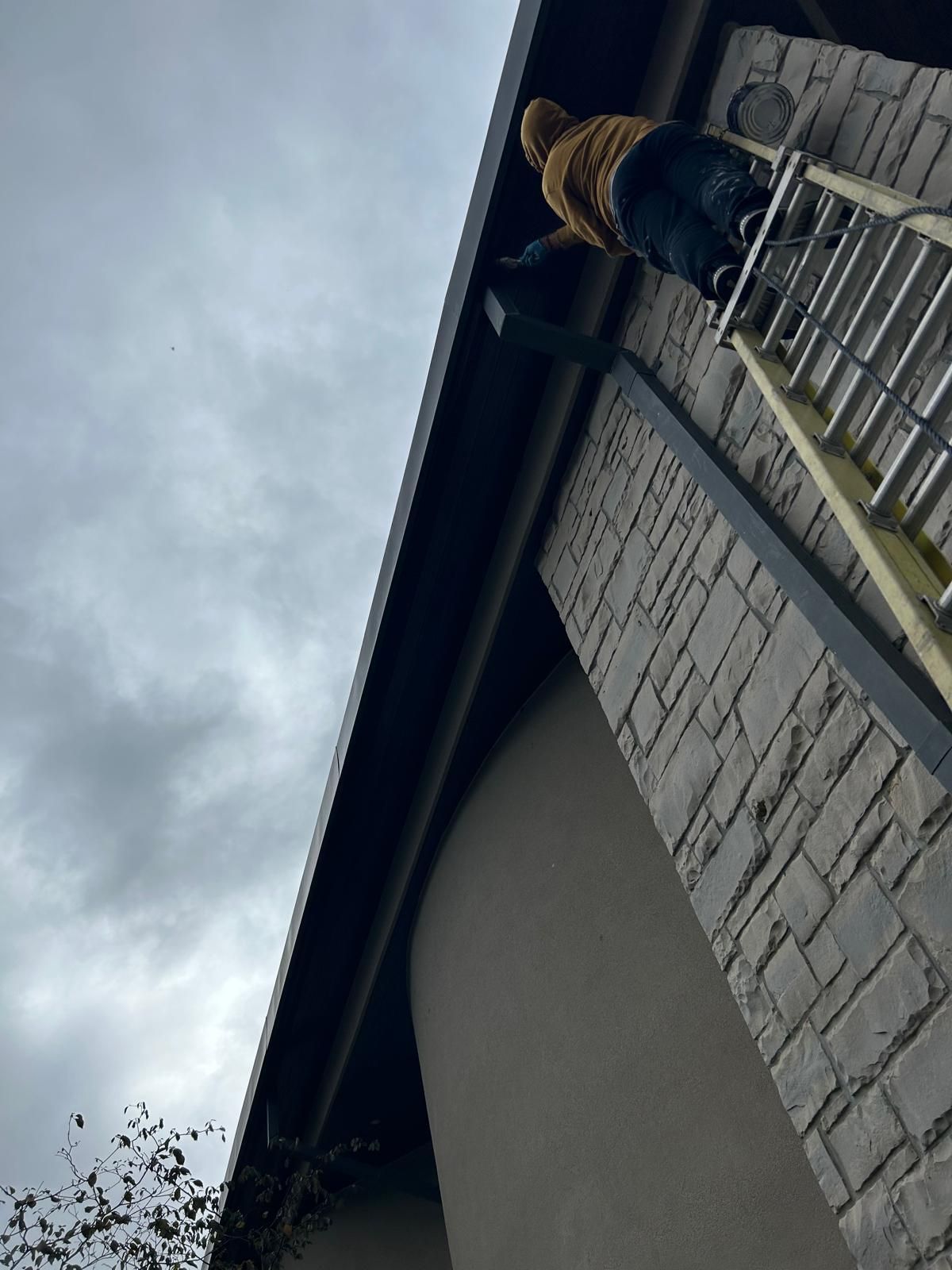 A person is standing on a ladder on the side of a building.