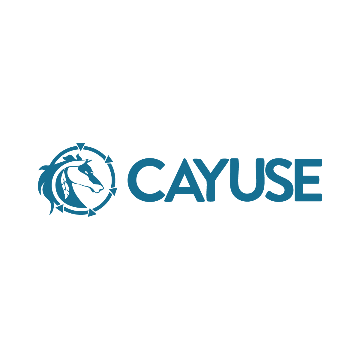 Logo for Cayuse: blue text next to a blue horse head within a circle, representing the brand.
