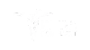 Blank white image.