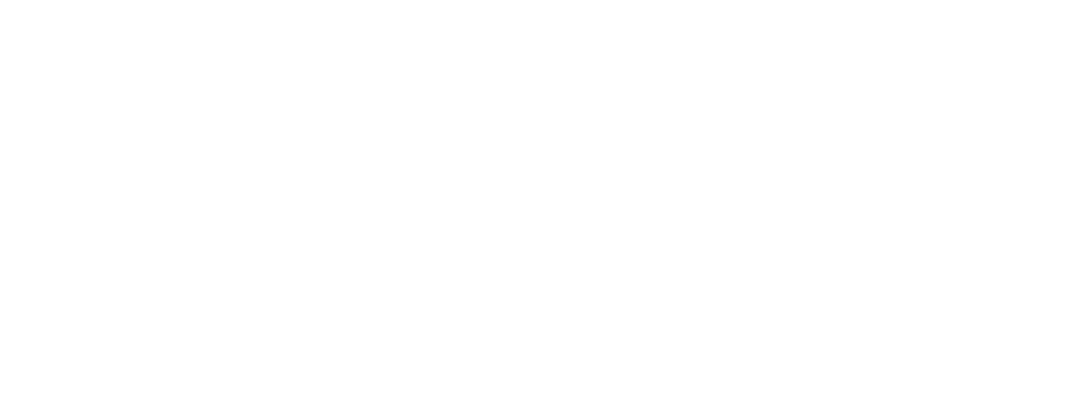 Valley Point Apartments Logo - white - Footer