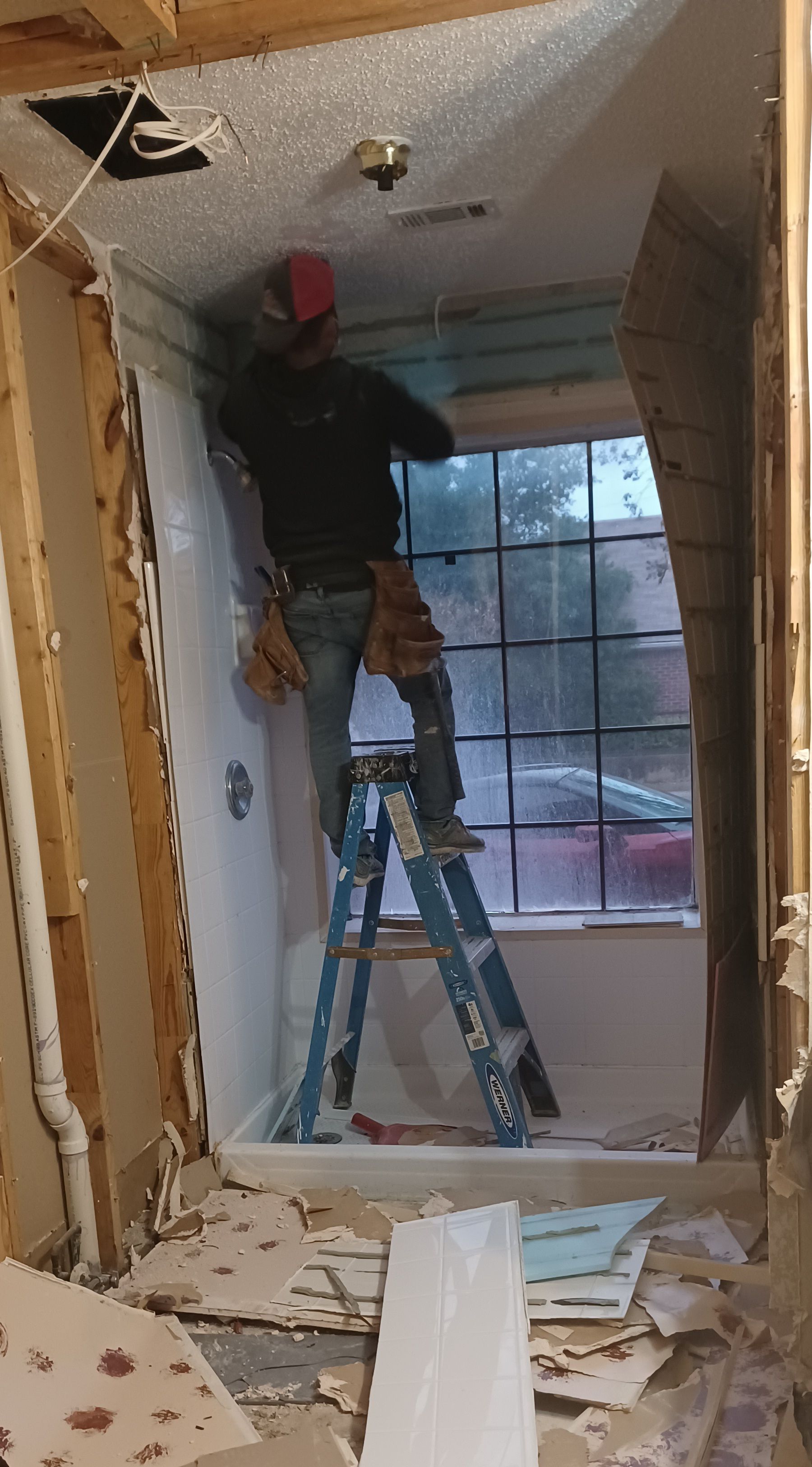 worker in the ladder
