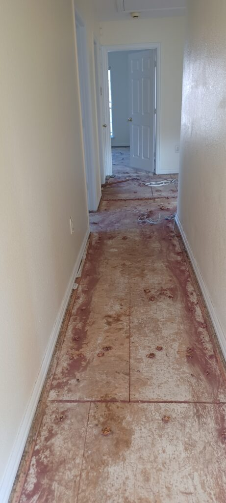 Before remodel the hallway