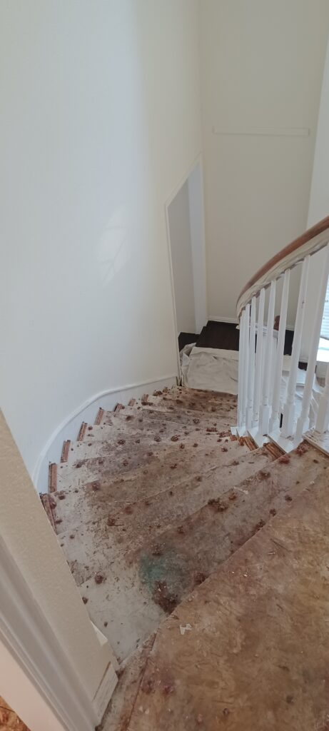 Before Renovating the stair