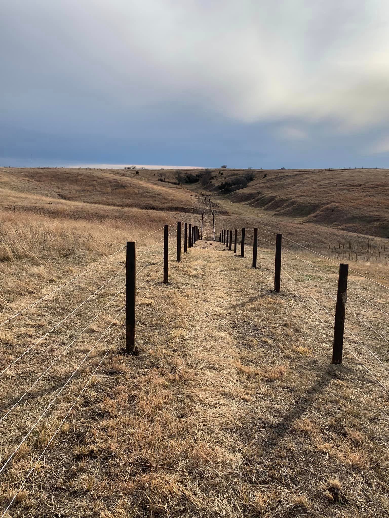 barbed wire photo in pasture
