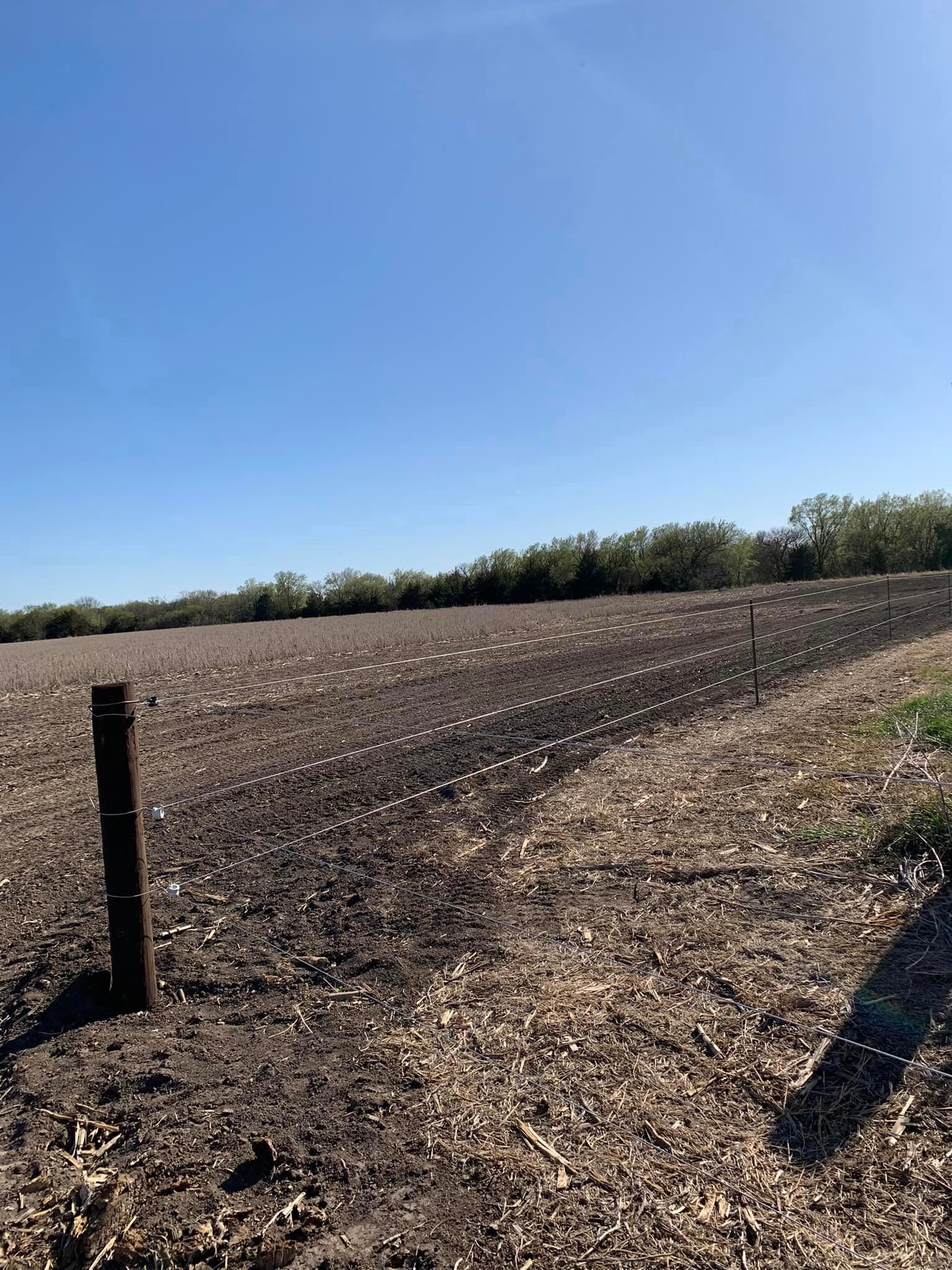 A dirt field with a wooden post in the middle and trees in the background.