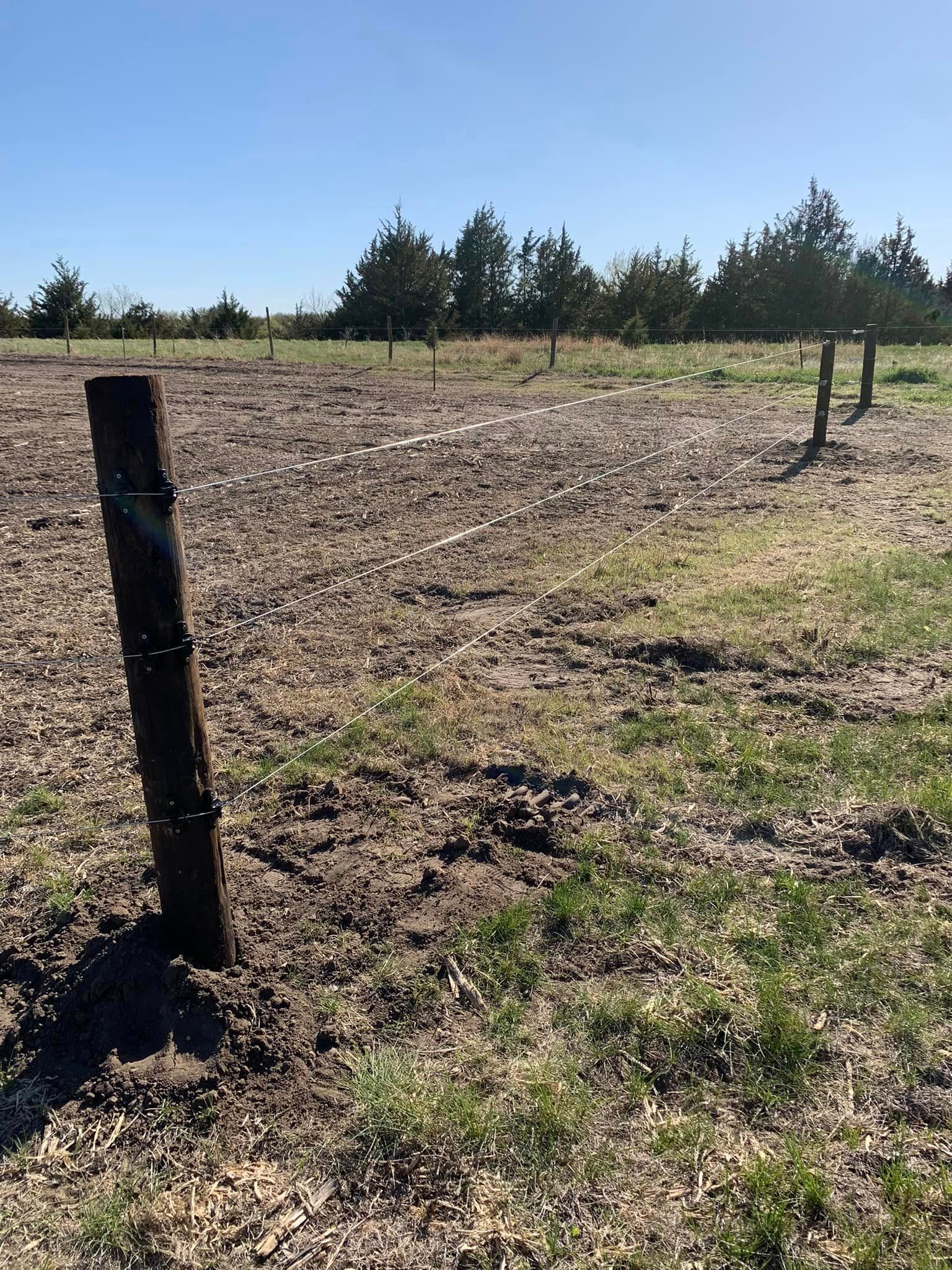 high tensile photo in pasture
 in central nebraska