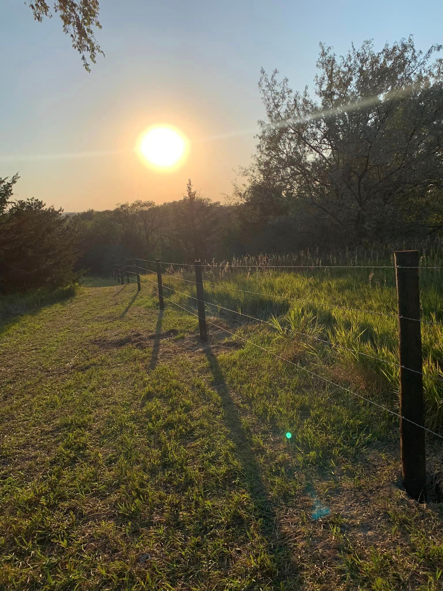 smooth wire photo in pasture