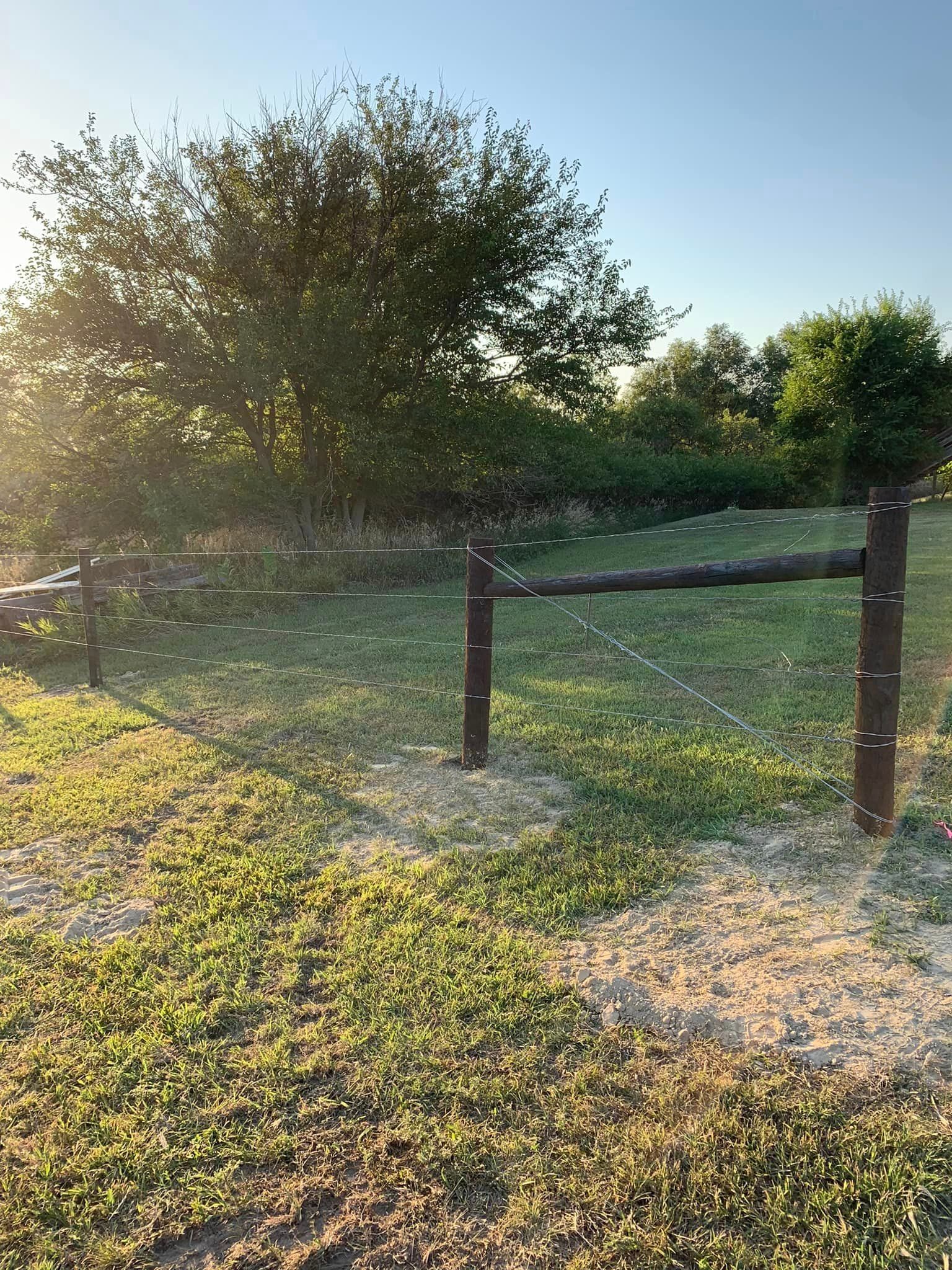 smooth wire photo in pasture