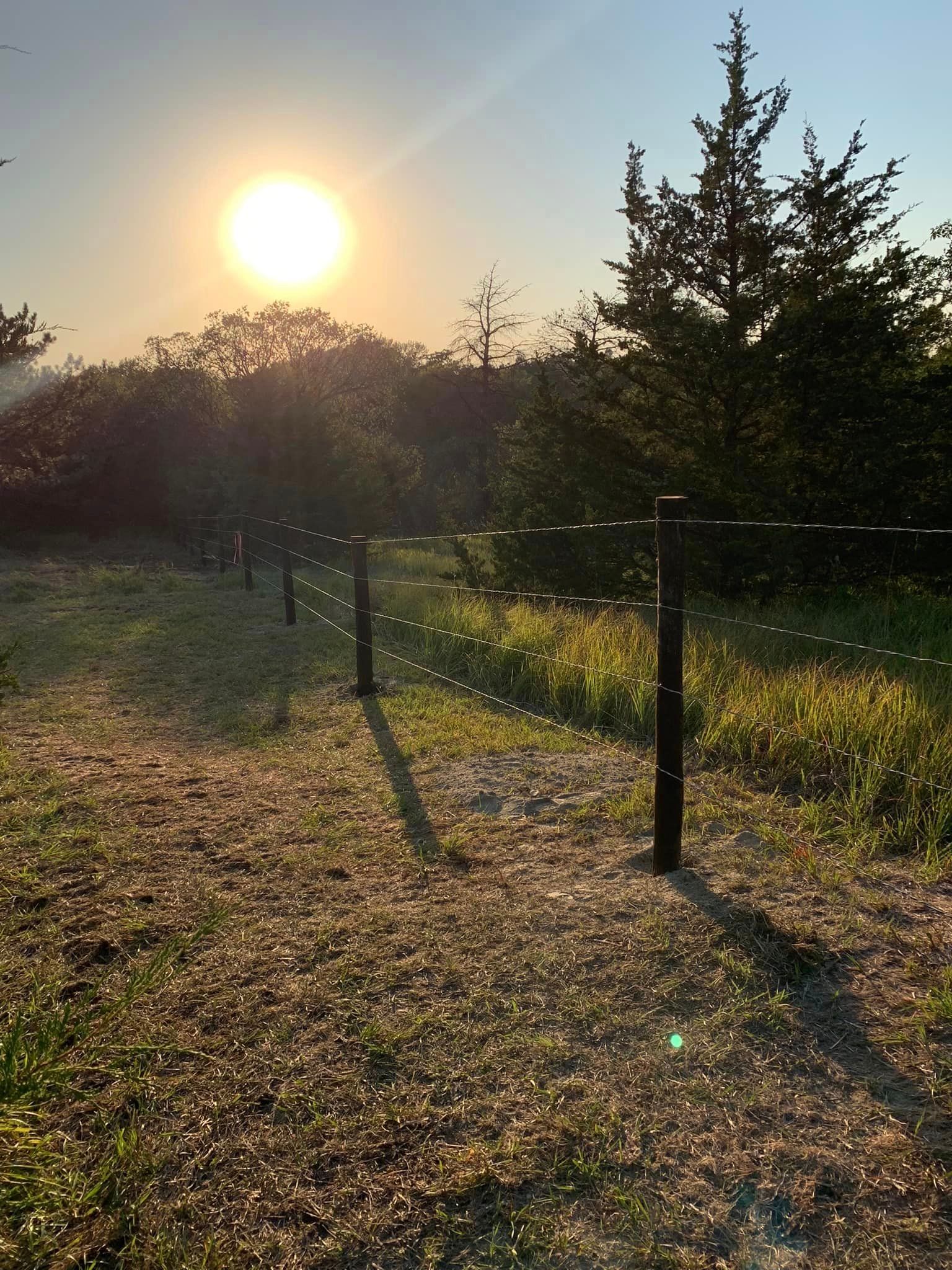 smooth wire photo in pasture
in central nebraska