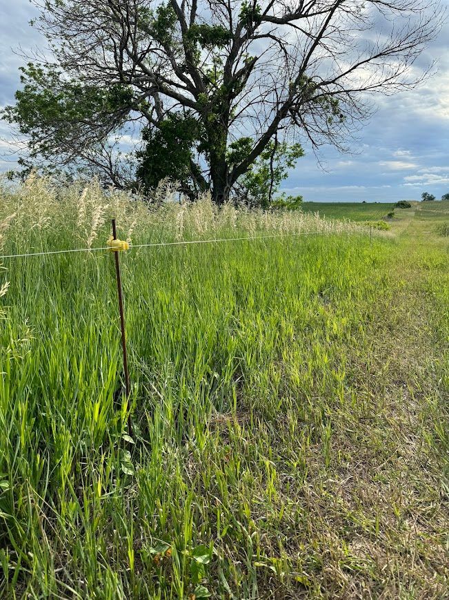 electric fencing photo in pasture