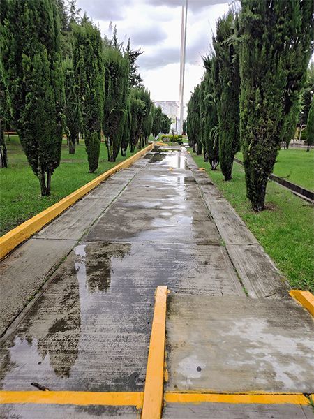 PIPAS PRADO