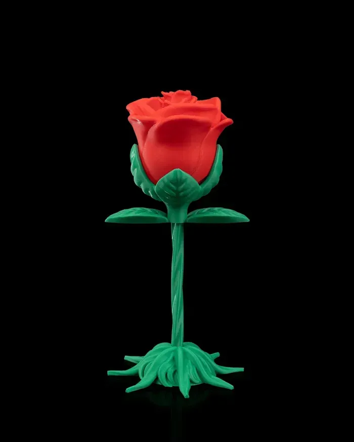 A red rose with a green stem and leaves on a black background.