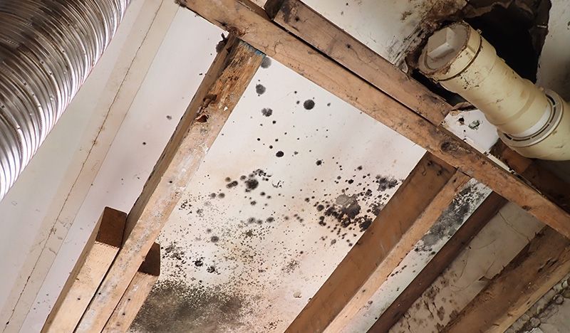 Ceiling with water damage and black mold spots around exposed wooden beams and ducting