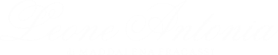 LEONE ANTONIA PARRUCCHE - LOGO