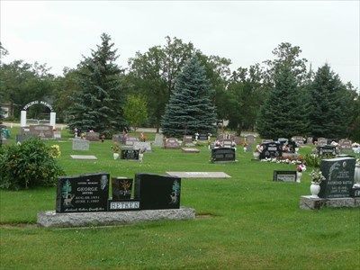 Grassy cemetery with rows of gravestones and evergreen trees under an overcast sky