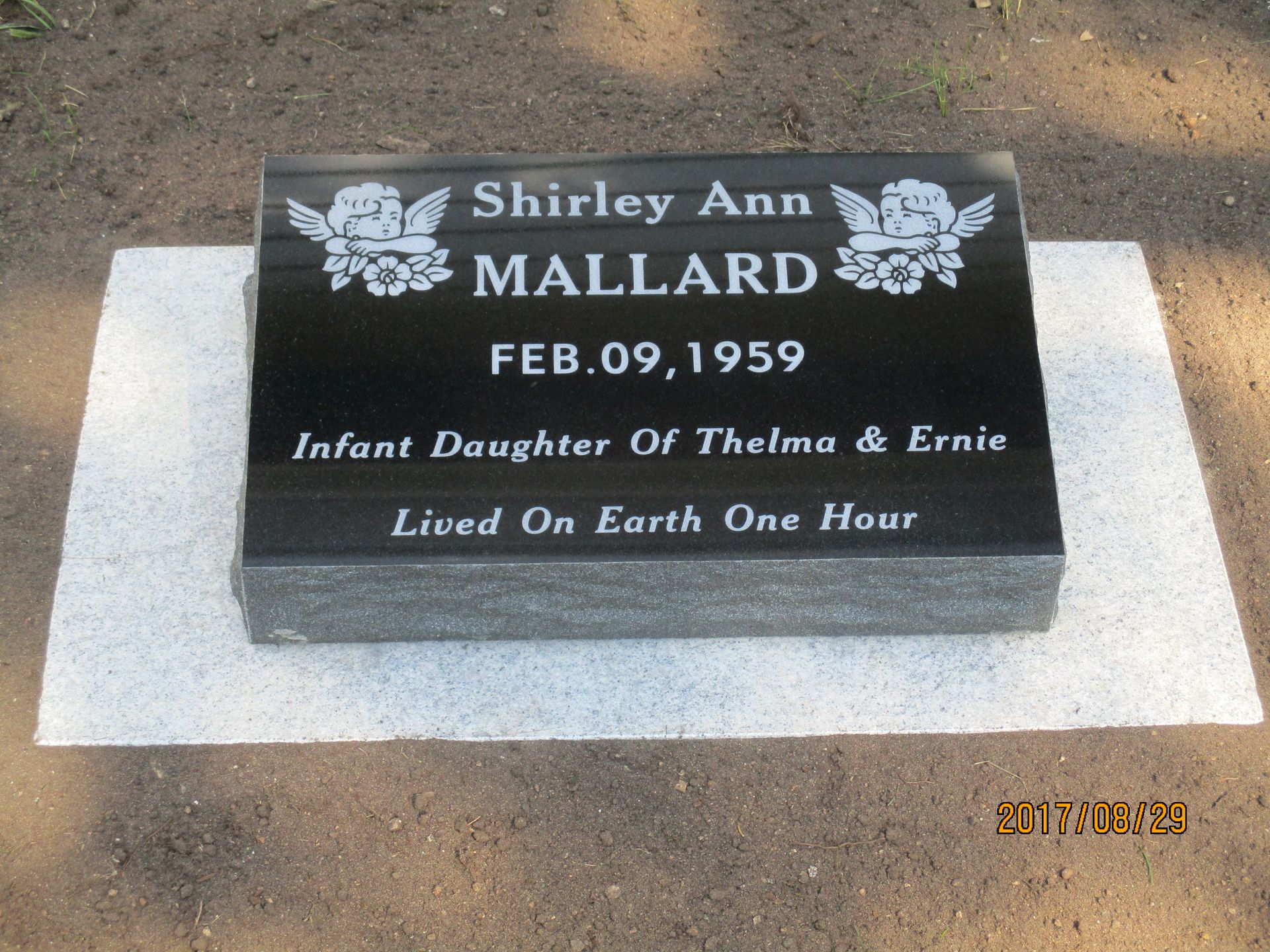 Black memorial plaque for Shirley Ann Mallard with flowers, date Feb. 09, 1959, on a stone base outdoors