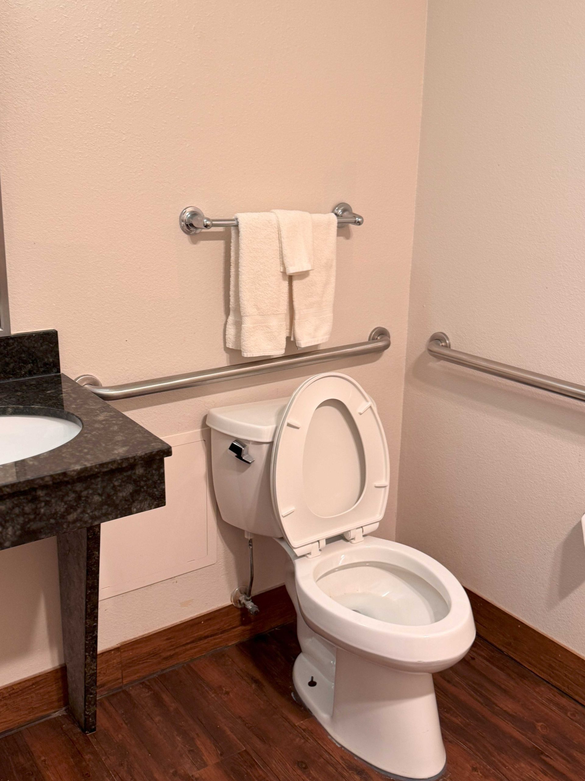 A bathroom with a toilet a sink and a towel rack
