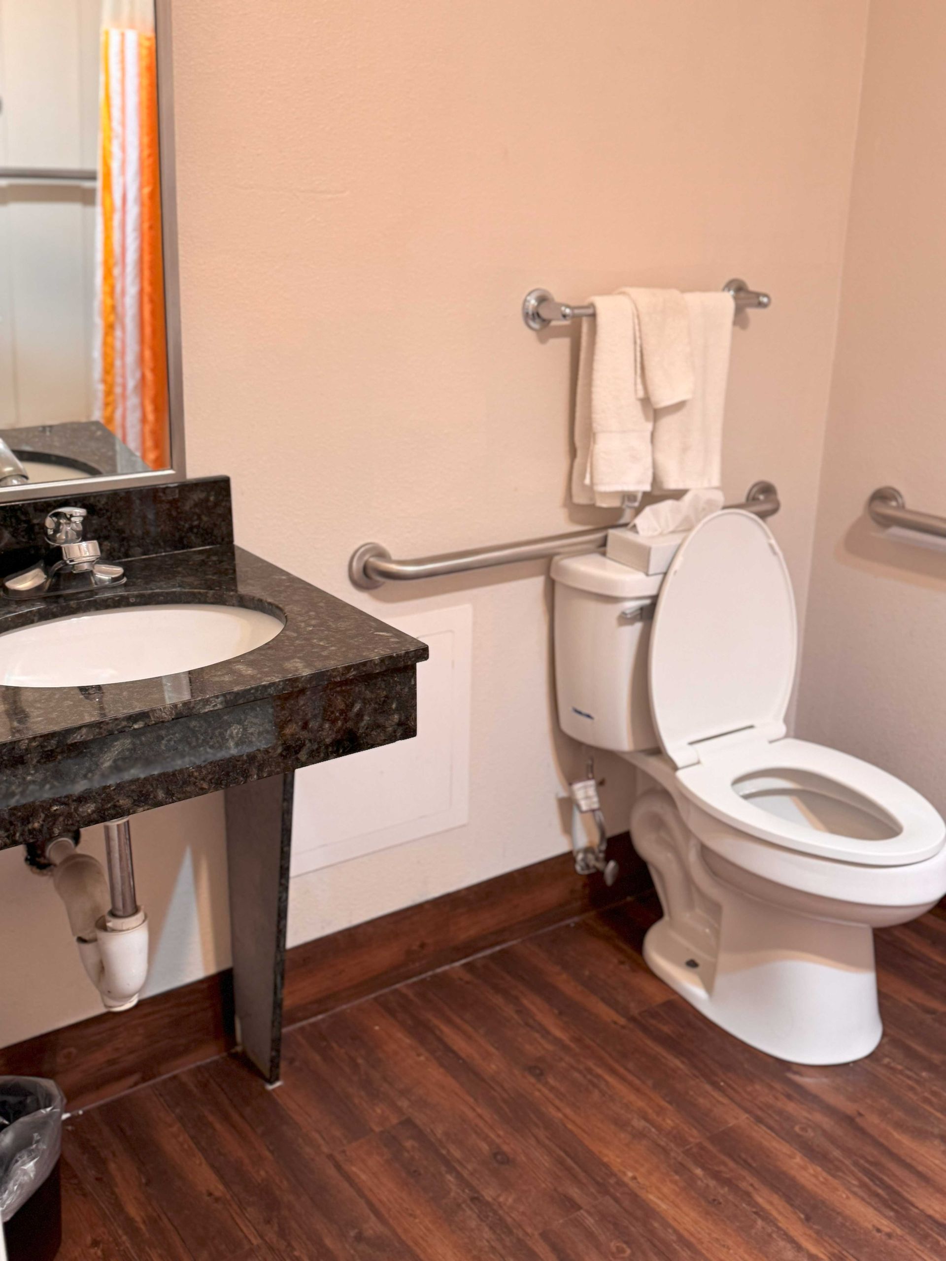 A bathroom with a toilet , sink and mirror