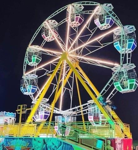 Amusement Park With Ferris Wheel — DNA Aquatics in Bundaberg, QLD
