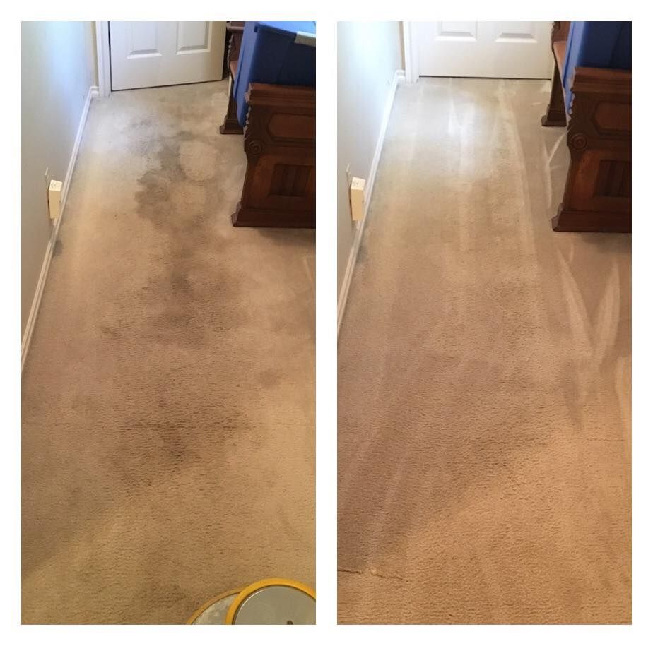 Carpet Master of Tulsa - A before and after picture of a carpet being cleaned.