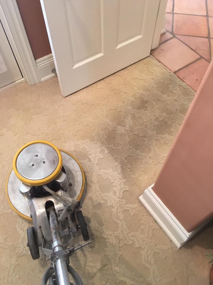 Carpet Master of Tulsa - A vacuum cleaner is cleaning a dirty carpet in a room.