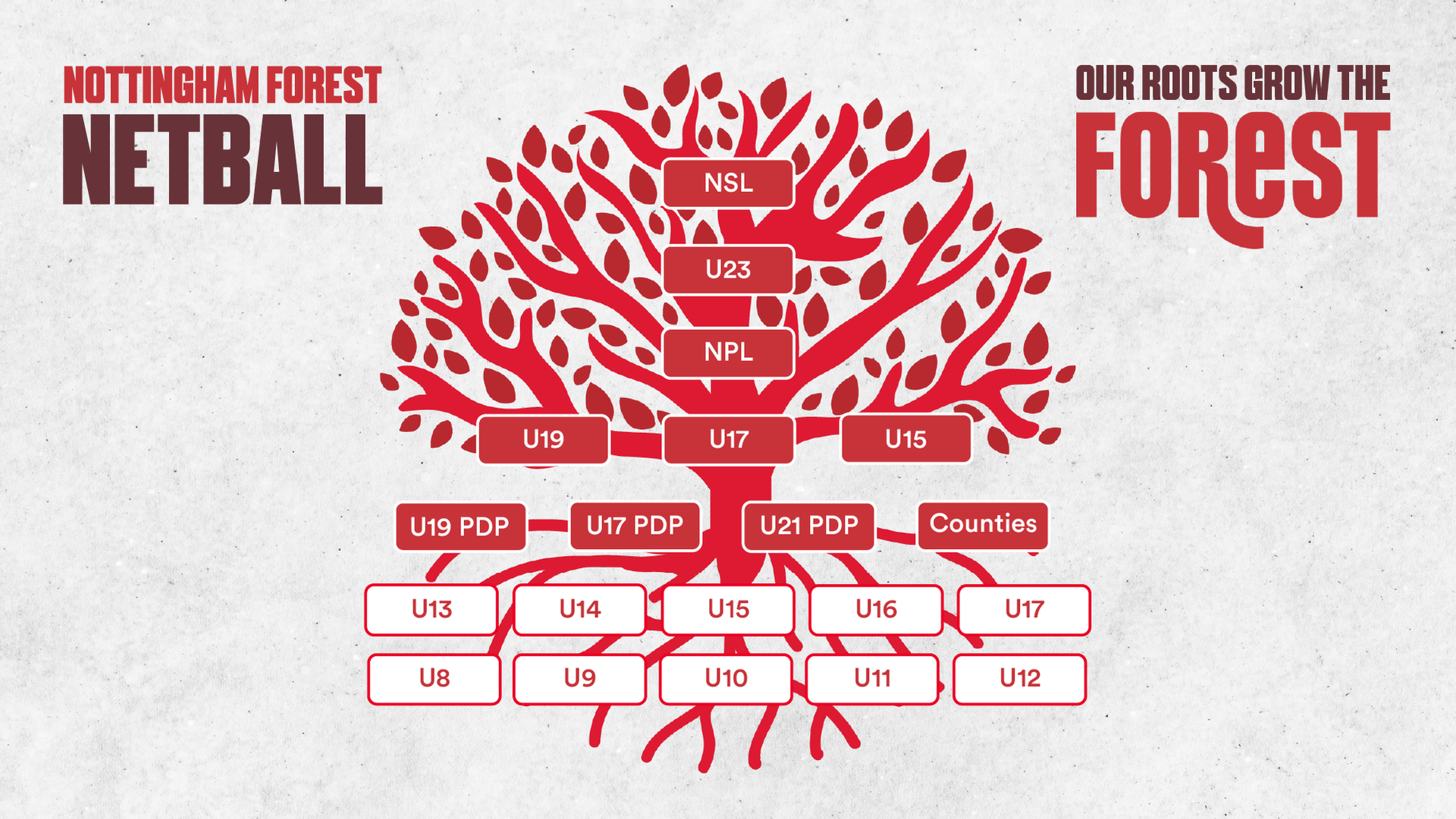 A poster for netball and our roots grow the forest