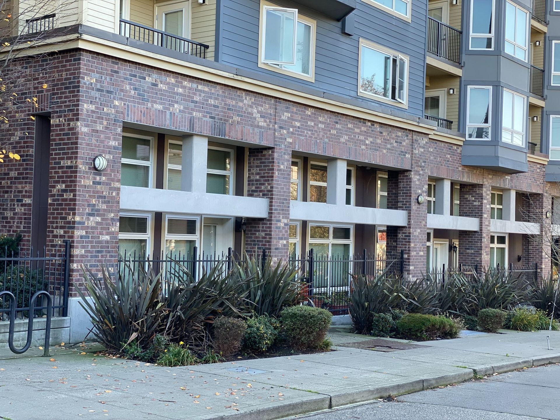 Brick apartment building with large windows, ground-floor shrubs, and a sidewalk in front