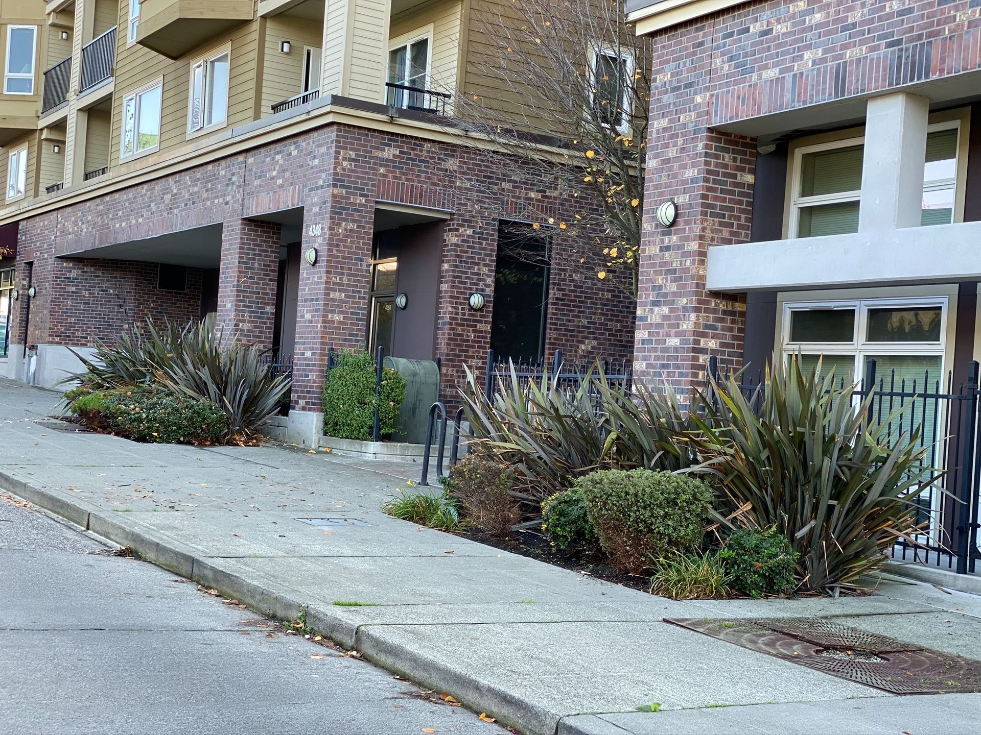 Brick apartment building entrance with concrete sidewalk, steps, and landscaped plants under an overhang