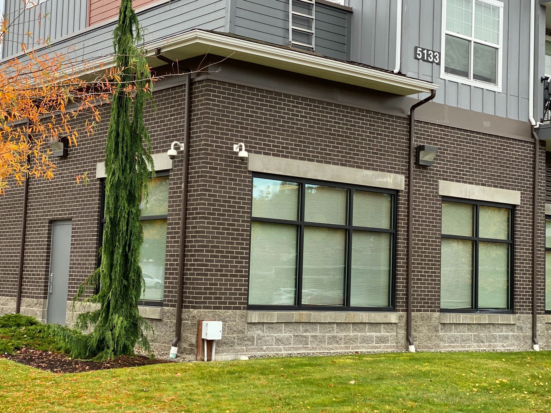 Apartment building exterior with brown brick, green-trimmed windows, and ivy beside a landscaped walkway