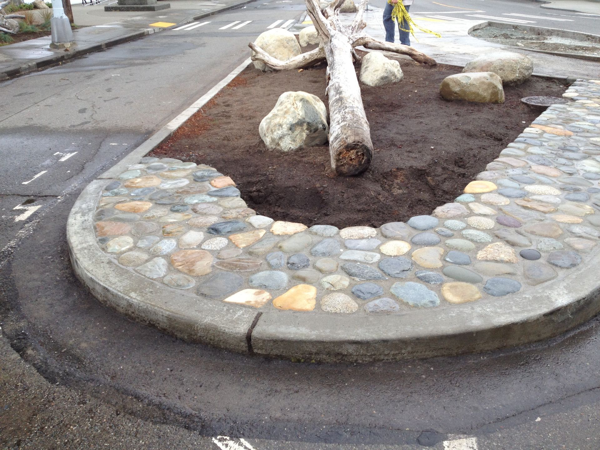 Street corner planter with rocks, mulch, and tree trunks bordered by a curved stone curb