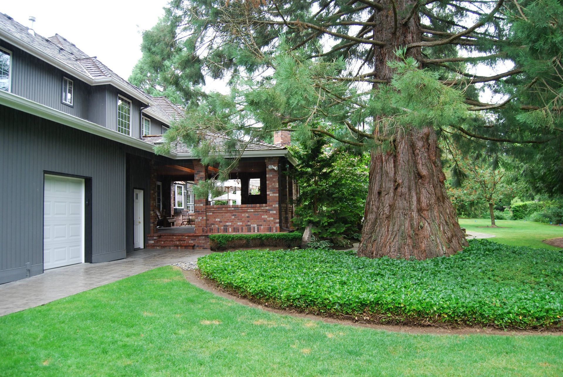 Large house driveway with a huge tree and green lawn in a landscaped yard