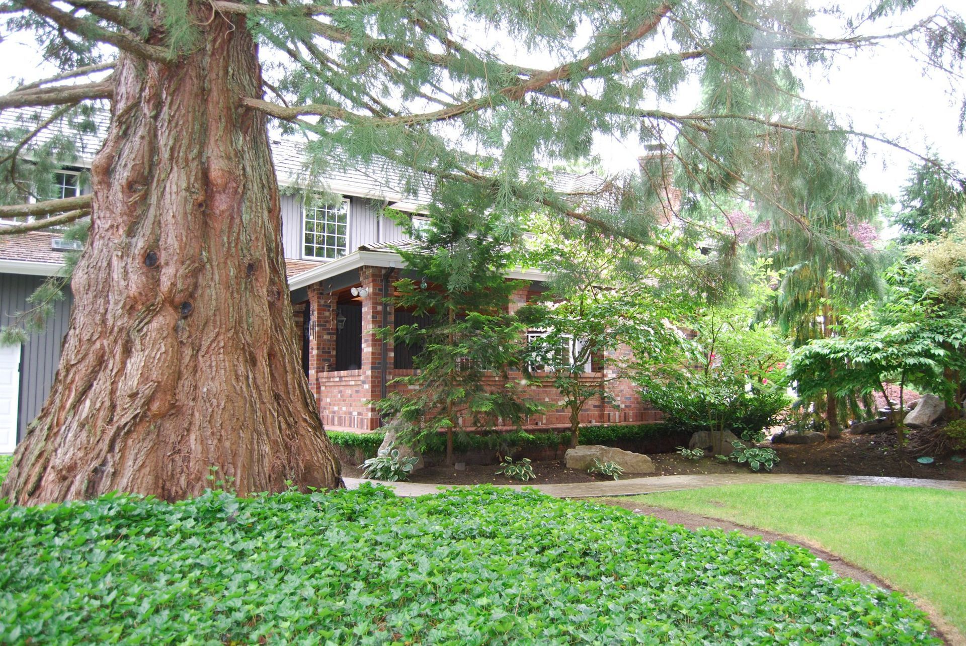 Large tree in a lush front yard beside a brick house and green lawn