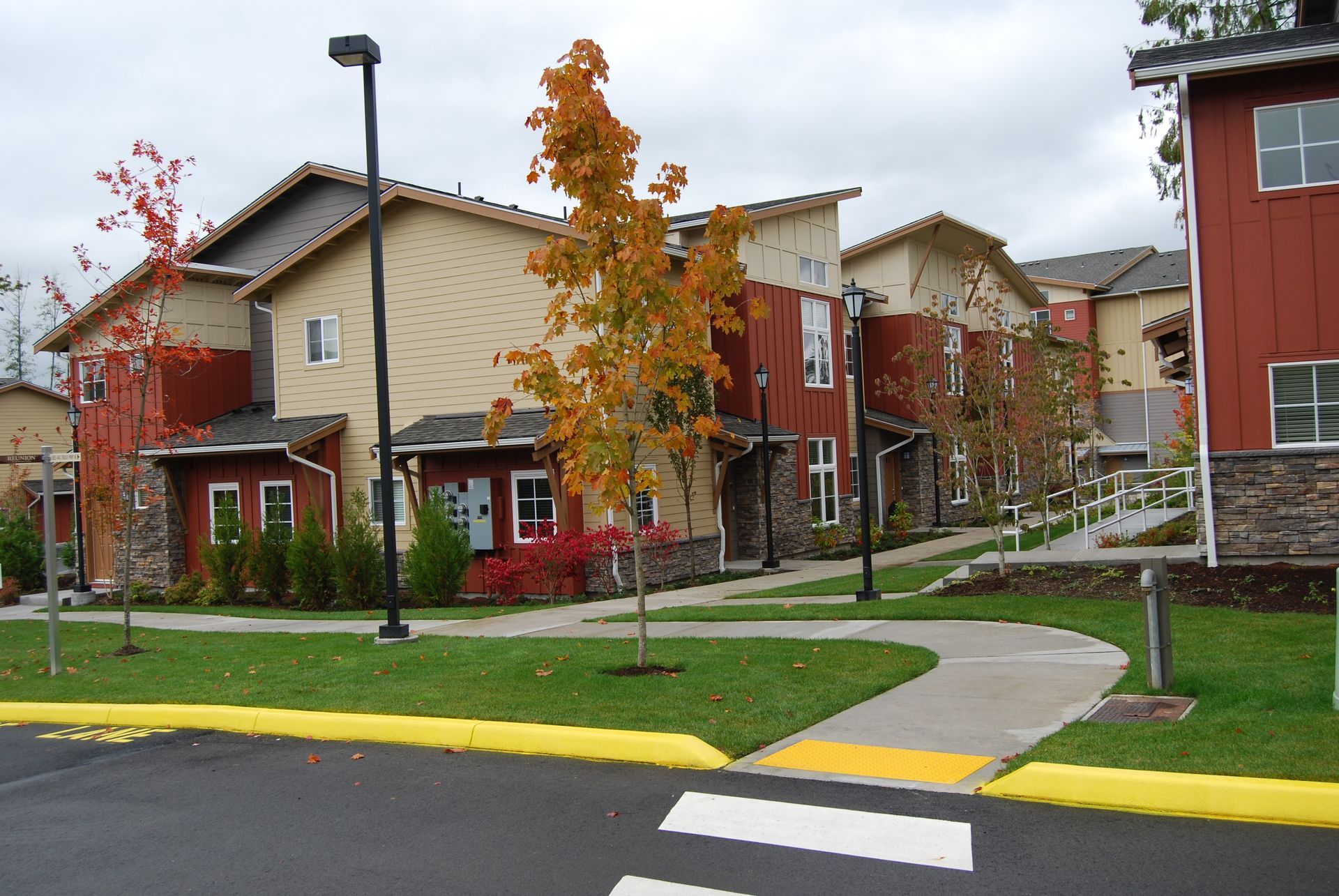 Apartment buildings and sidewalk with autumn trees, a lamppost, and a crosswalk by the street