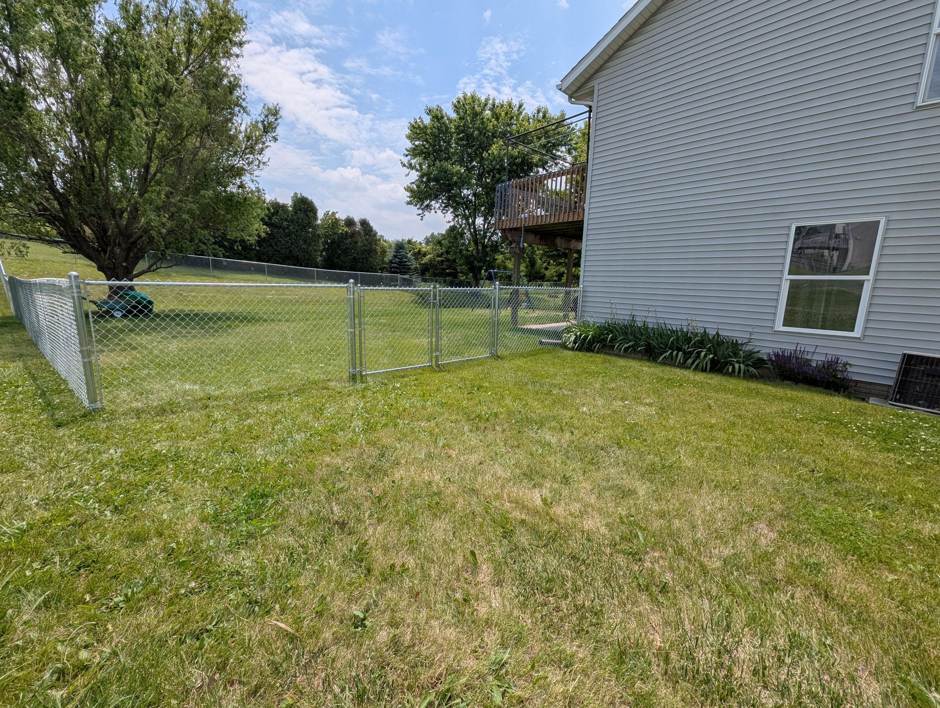 Backyard fence.

