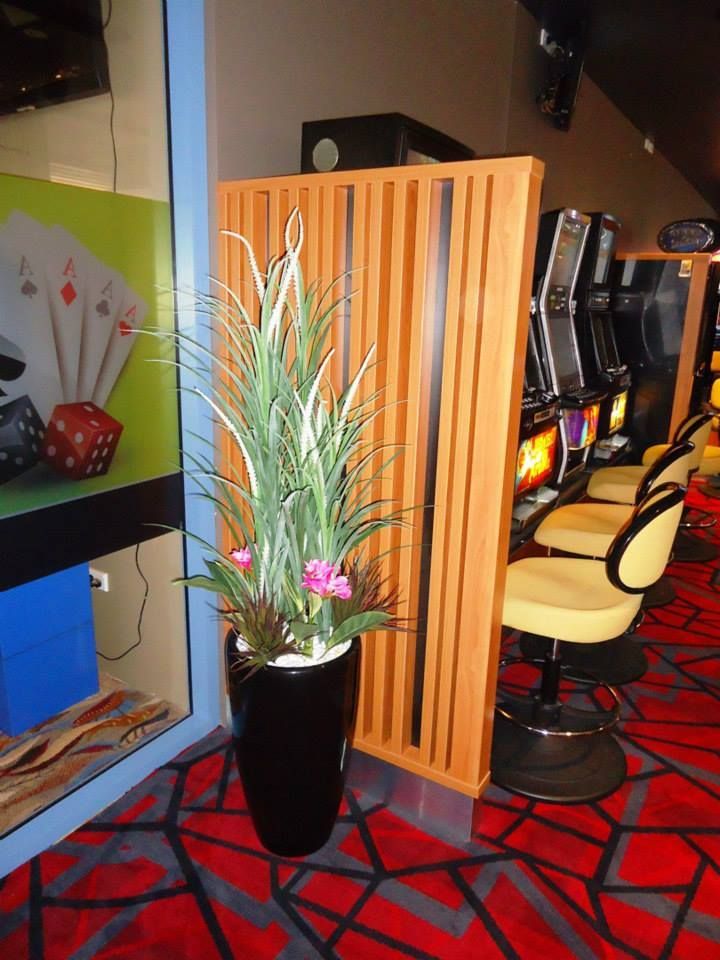 A Plant In A Black Pot In A Casino — Logic Joinery In Fountaindale, NSW