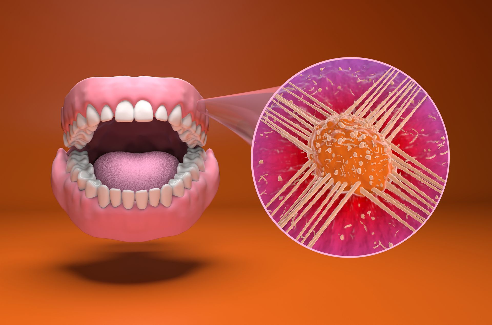 Oral Cancer Screenings for Early Detection