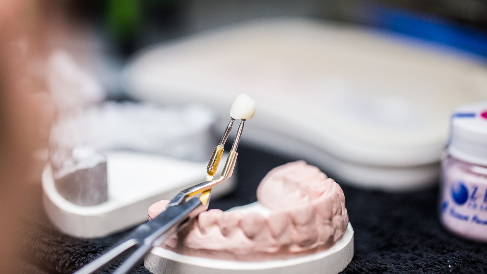 Plaster Dental Model