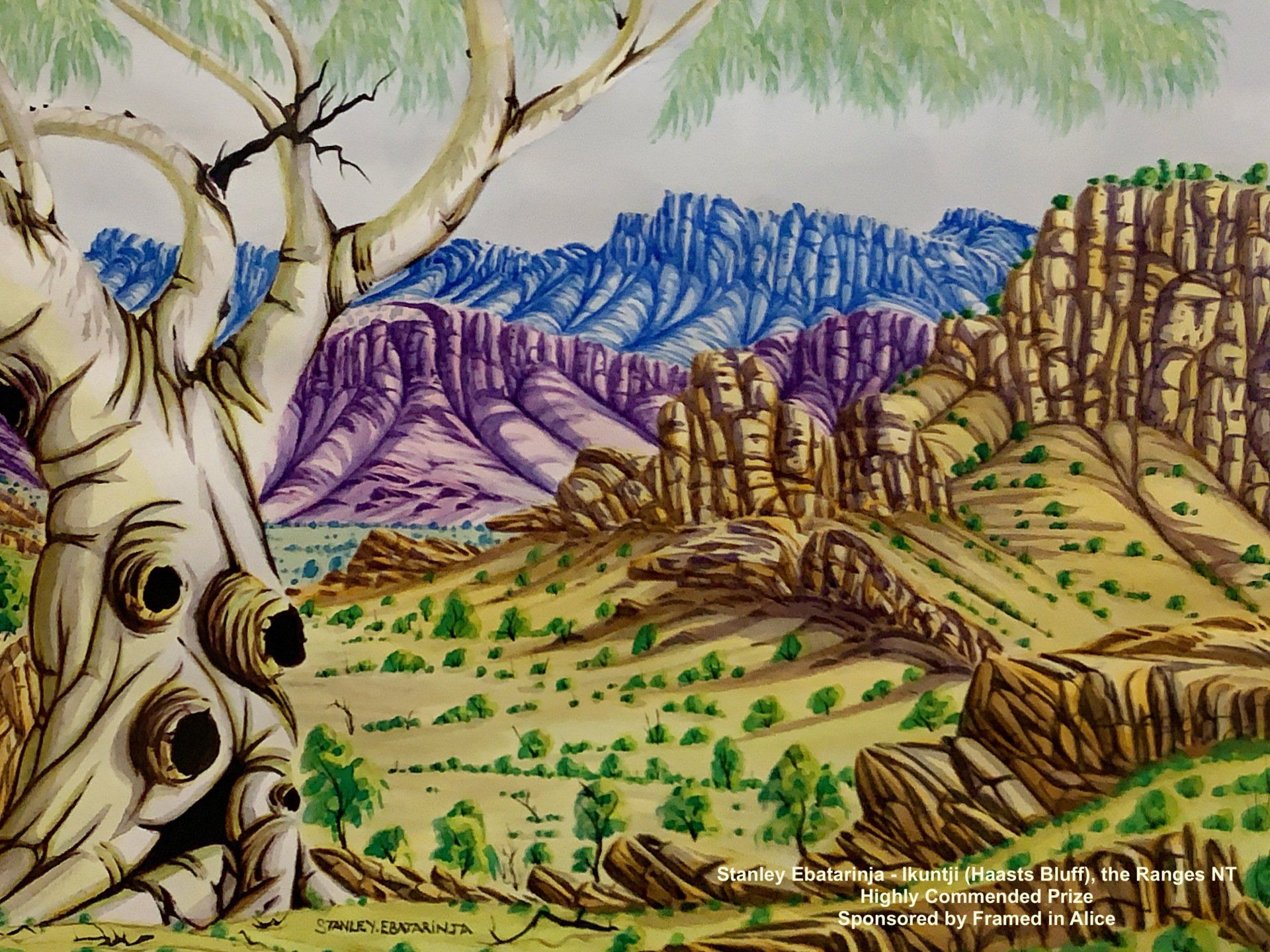 A gnarled, pale-barked tree in the foreground overlooks a desert landscape with rocky formations and distant blue mountains.