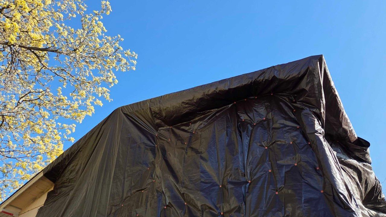 Black tarp draped over a structure against a blue sky with tree branches on the left